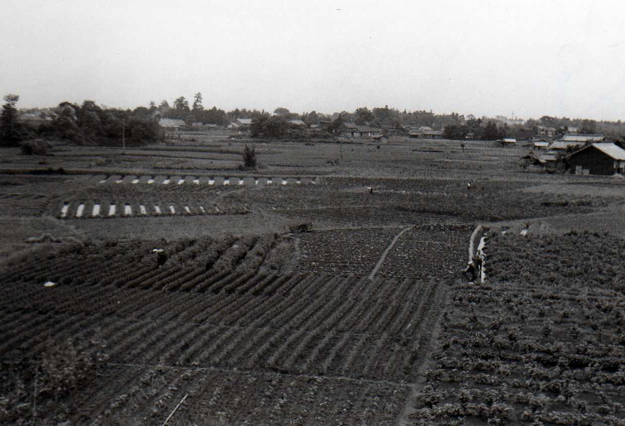 Image 66